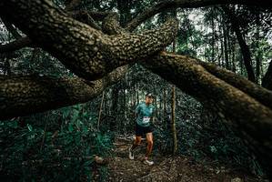 BIB: 
                            <button type="button" onclick="openModal(25708059)" class="btn btn-primary btn-sm float-right btn-popup" data-toggle="modal" data-target=".modal-high-quality">
                        <i class="fas fa-shopping-cart"></i> Add to Cart
                    </button>
                                            <button type="button" onclick="isThisMe(25708059, true)" class="btn btn-success btn-sm float-right btn-popup btn-isme hidden" data-toggle="tooltip" data-placement="bottom" title="นี่คือรูปของคุณใช่ไหม คลิกที่นี่เพื่อเอาเข้าอัลบั้ม">
                        <i class="fas fa-plus"></i> Add to album
                    </button>
                    <button type="button" onclick="isThisMe(25708059, false)" class="btn btn-warning btn-sm float-right btn-popup btn-isnotme hidden">
                        <i class="fas fa-ban"></i> Remove from album
                    </button>